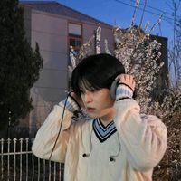 wltnsdl_