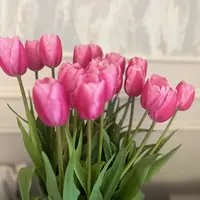 TikTok Account - https://p16-sg.tiktokcdn.com/tos-alisg-avt-0068/9e20903b64289d73c84d156032f5e938~tplv-tiktokx-cropcenter-q:200:200:q70.webp