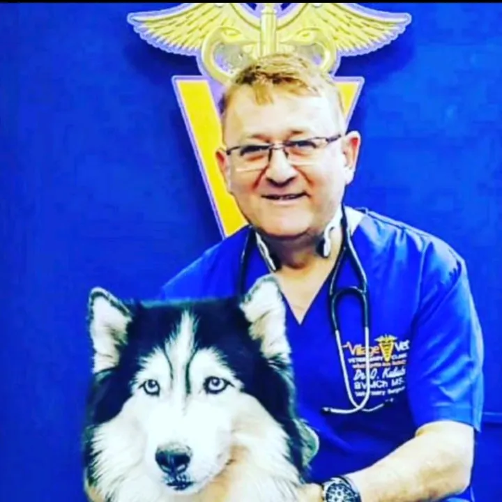 village_vet_llc