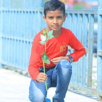 shekh3795