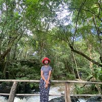 TikTok Account - https://p16-sg.tiktokcdn.com/tos-alisg-avt-0068/a1393f6b7a0046ddd1b19a8923af132b~tplv-tiktokx-cropcenter:200:200.jpeg