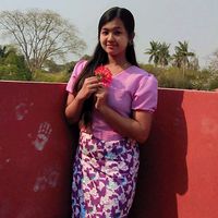 shweboshinlay3