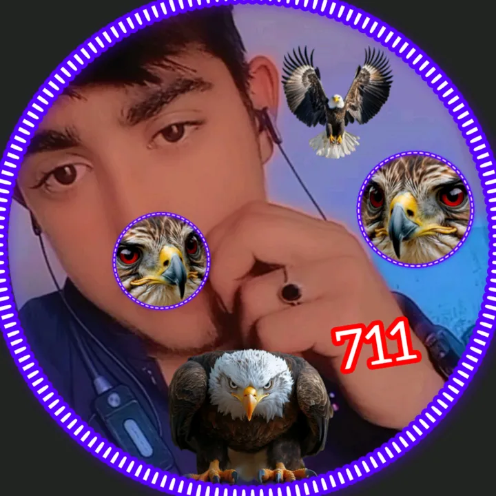 sadamk712