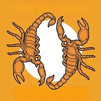 TikTok Account - https://p16-sg.tiktokcdn.com/tos-alisg-avt-0068/a2b47d5cf21ce156f8f07f4e372e6319~tplv-tiktokx-cropcenter:200:200.jpeg