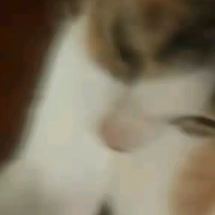 cut3_m4j4