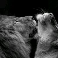 original sound - odinok.iiii