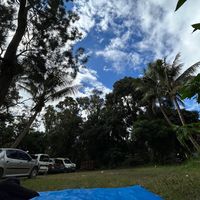 TikTok Account - https://p16-sg.tiktokcdn.com/tos-alisg-avt-0068/a3bf2459fff9752675593417e04e1961~tplv-tiktokx-cropcenter:200:200.jpeg