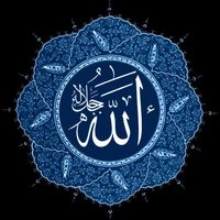 TikTok Account Photo