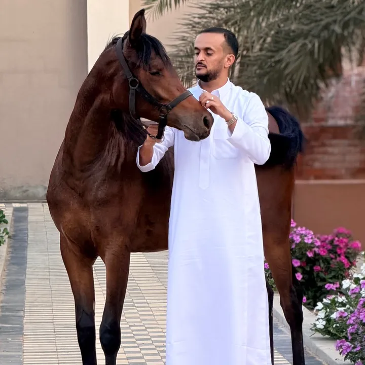 m25fahad