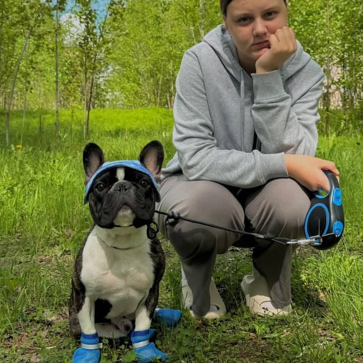 keks_frenchbulldog