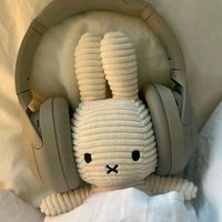Sound image
