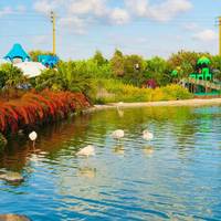 TikTok Account - https://p16-sg.tiktokcdn.com/tos-alisg-avt-0068/a5daf108a1862fd5edbf5ad6bb4a96e9~tplv-tiktokx-cropcenter-q:200:200:q70.jpg