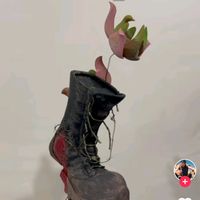 nigareliyeva999