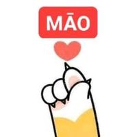 502_mao