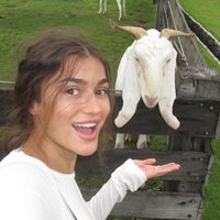 TikTok Account Photo