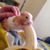 오리지널 사운드 - 뿡빡뿡빡