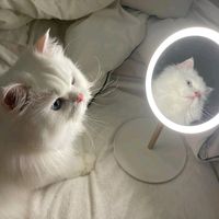 _jannatmoni_4