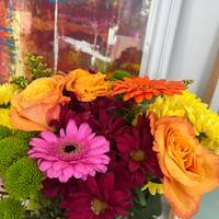 TikTok Account - https://p16-sg.tiktokcdn.com/tos-alisg-avt-0068/aaa8a21dafbd0b0b674c7be17136e2dc~tplv-tiktokx-cropcenter-q:200:200:q70.jpg