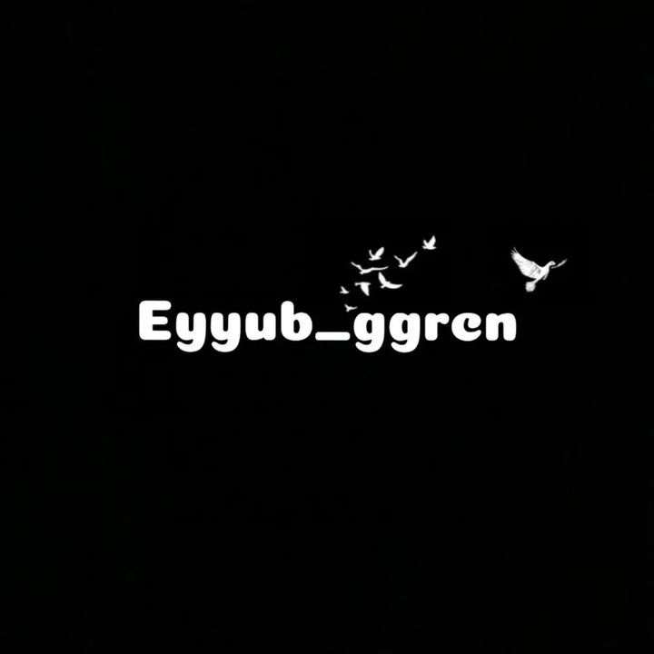 ggrcn.1341 - orijinal ses