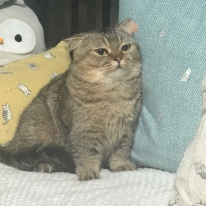 mushy_munchie
