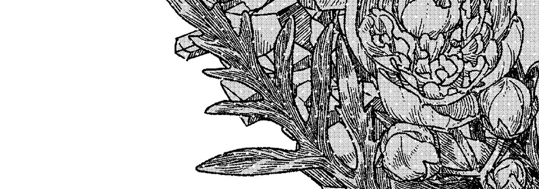 The Hundred-Year Crystal Catalogue - episode 6 - 75