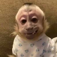 TikTok Account Photo