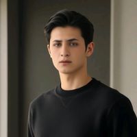 الصوت الأصلي