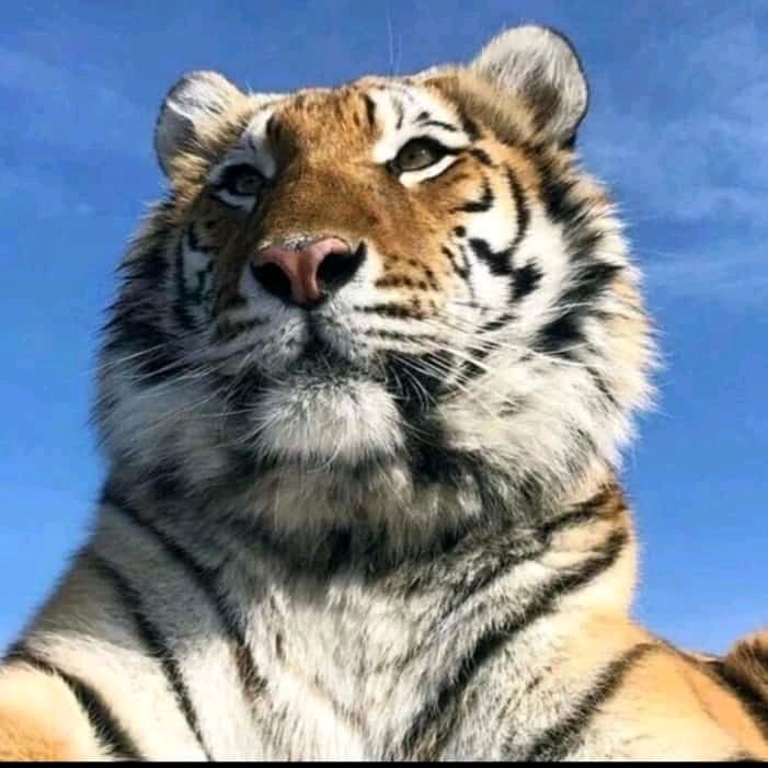 𝐐 𝐔 𝐁 𝐀 𝐄 𝐗 𝐋 𝐈 - original sound