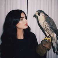 TikTok Account - https://p16-sg.tiktokcdn.com/tos-alisg-avt-0068/ae17db60f13af4fbeb0f202a06186115~tplv-tiktokx-cropcenter:200:200.jpeg