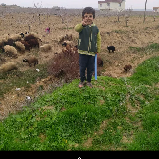 nedim_can_63