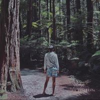 TikTok Account - https://p16-sg.tiktokcdn.com/tos-alisg-avt-0068/ae48bdc46b92cd784a1fcbf66bb2fb76~tplv-tiktokx-cropcenter:200:200.jpeg