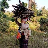 TikTok Account - https://p16-sg.tiktokcdn.com/tos-alisg-avt-0068/ae8477446b8d733f8e46ca2c57f5c2e3~tplv-tiktokx-cropcenter:200:200.jpeg