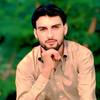 barkat.ullah834