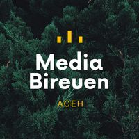 mediabireuen.co
