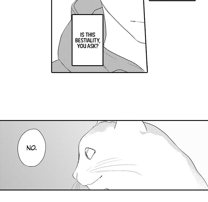 The Uninvited Cat and His Fickle Master - episode 7 - 13