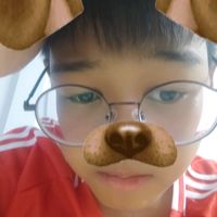 rmmt_beespeed1234