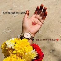 TikTok Account - https://p16-sg.tiktokcdn.com/tos-alisg-avt-0068/b13661356c179a44d524903d6f5f7548~tplv-tiktokx-cropcenter:200:200.jpeg