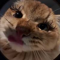 TikTok Account - https://p16-sg.tiktokcdn.com/tos-alisg-avt-0068/b28496bc8709a57e839c586b92cc7cd3~tplv-tiktokx-cropcenter-q:200:200:q70.jpg