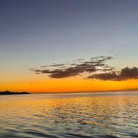 TikTok Account - https://p16-sg.tiktokcdn.com/tos-alisg-avt-0068/b425c69e7332542d90d3ef42ef498707~tplv-tiktokx-cropcenter:200:200.jpeg