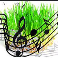 Sound image