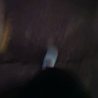 userllyh9dmze4