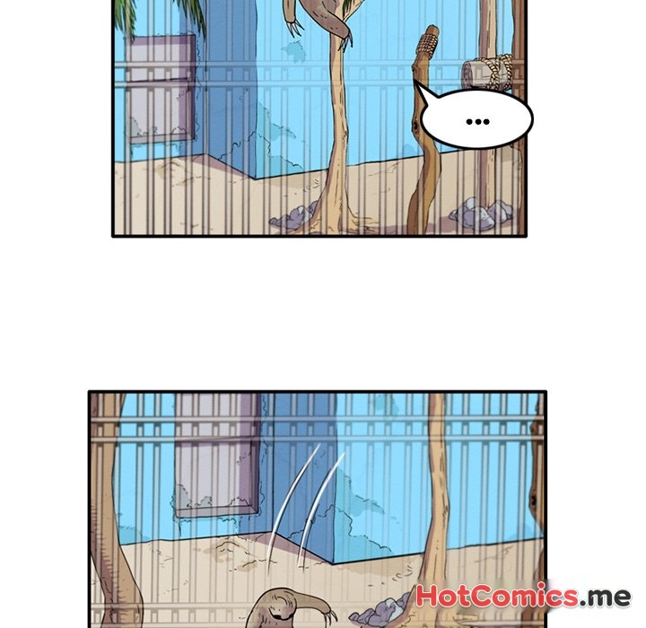 Secret Zoo - episode 15 - 24