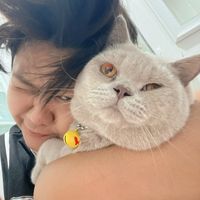 เสียงต้นฉบับ - iviveez