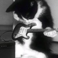 original sound - r4aaaa15