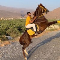 TikTok Account - https://p16-sg.tiktokcdn.com/tos-alisg-avt-0068/b6aafbe94acb79042dedc24420ad1257~tplv-tiktokx-cropcenter:200:200.jpeg