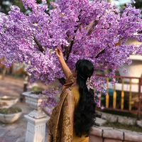 nusrat.akter5564