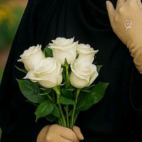 sopnil_5555