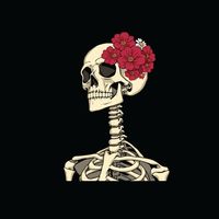 TikTok Account Photo