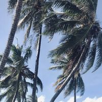 TikTok Account Photo