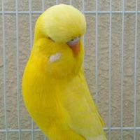 amasya....05